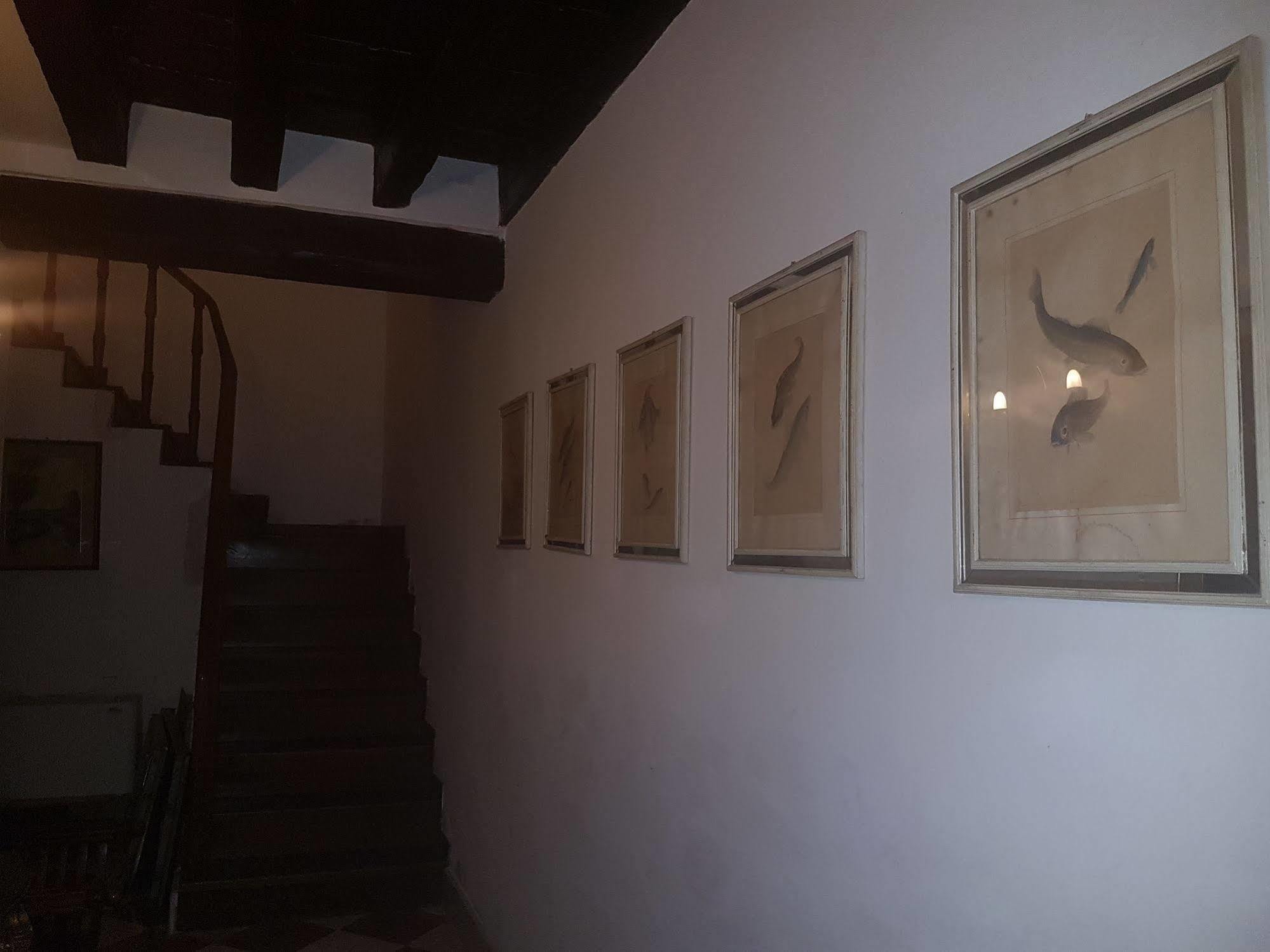 فندق Casa Arte البندقية المظهر الخارجي الصورة